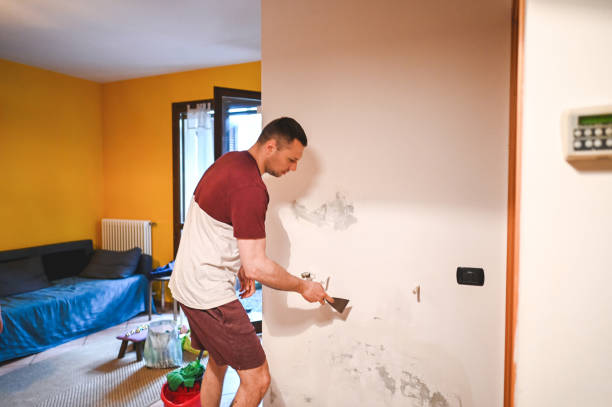 Best Toxic Mold Removal  in Palm Springs, FL